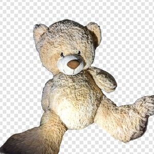 Big fluffy Teddy hear